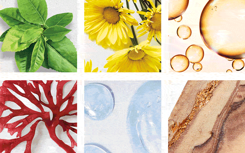 The Skin-Improving Ingredients Behind Your Favorite Clean Beauty